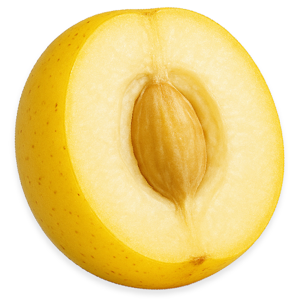 Coconut Oil*