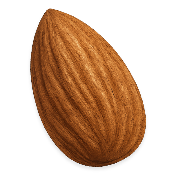 Sweet Almond Oil